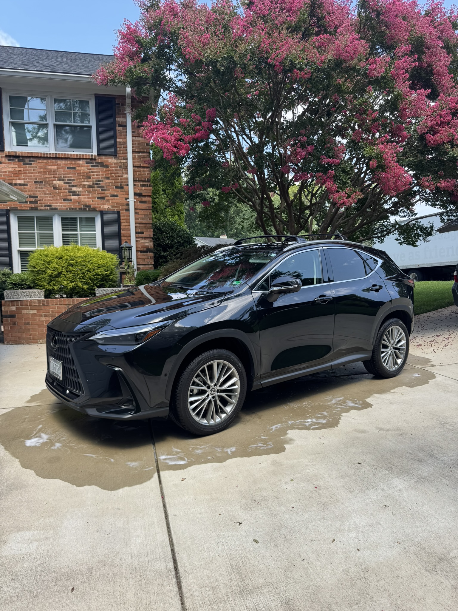 Cleaned car exterior detail preview